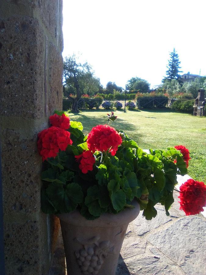 Agriturismo San Giacomo ピティリアーノ エクステリア 写真