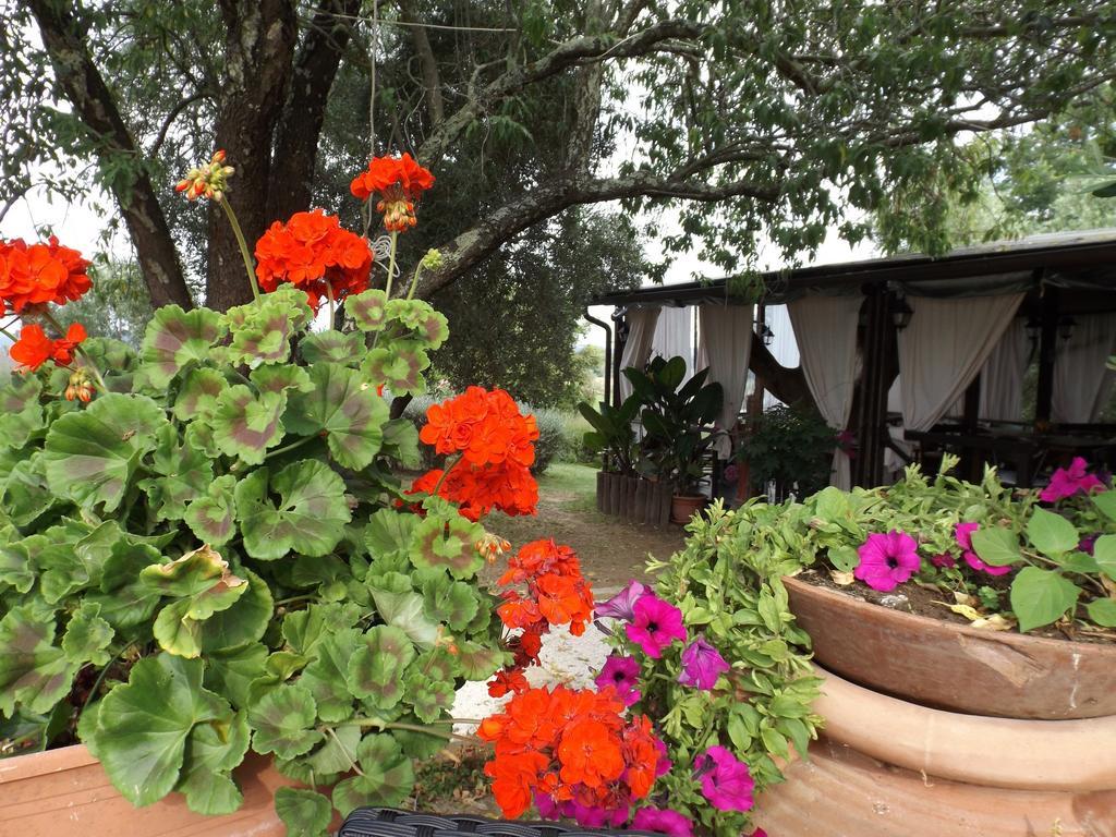Agriturismo San Giacomo ピティリアーノ 部屋 写真